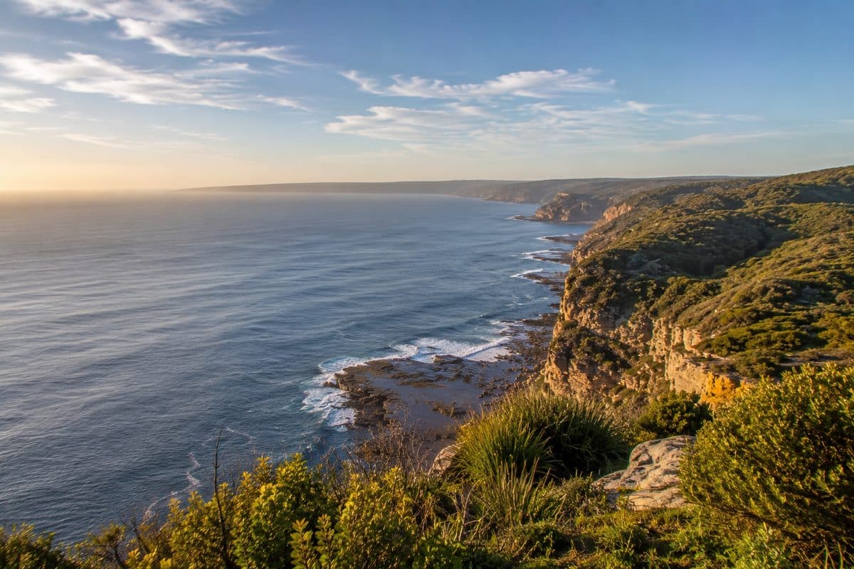 Royal National Park